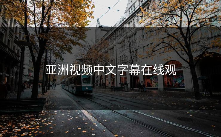 亚洲视频中文字幕在线观
