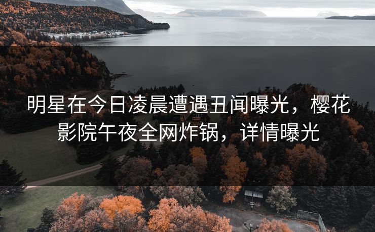 明星在今日凌晨遭遇丑闻曝光，樱花影院午夜全网炸锅，详情曝光
