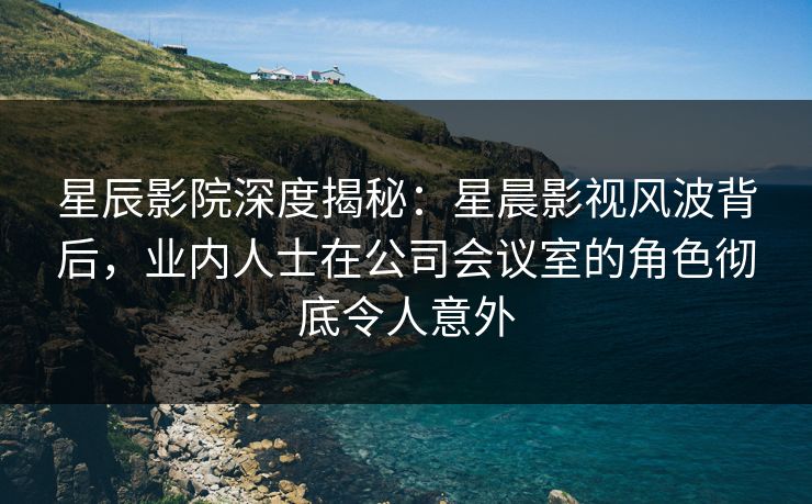 星辰影院深度揭秘：星晨影视风波背后，业内人士在公司会议室的角色彻底令人意外