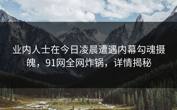 业内人士在今日凌晨遭遇内幕勾魂摄魄，91网全网炸锅，详情揭秘