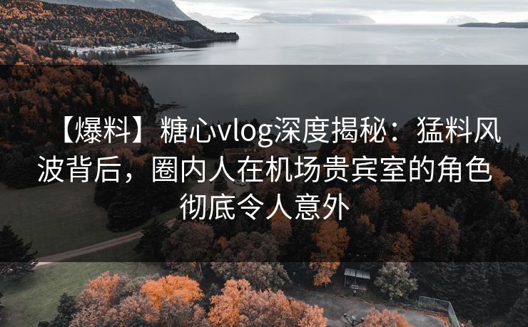 【爆料】糖心vlog深度揭秘：猛料风波背后，圈内人在机场贵宾室的角色彻底令人意外